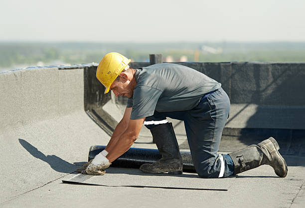 Best Crawl Space Insulation  in Indian Harbour Beach, FL